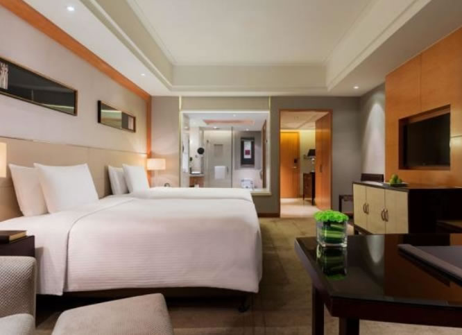 ����˫����